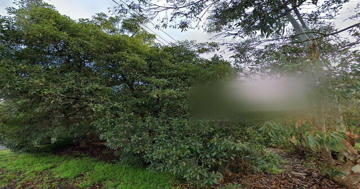 Vermont Council Services — Everything You Need