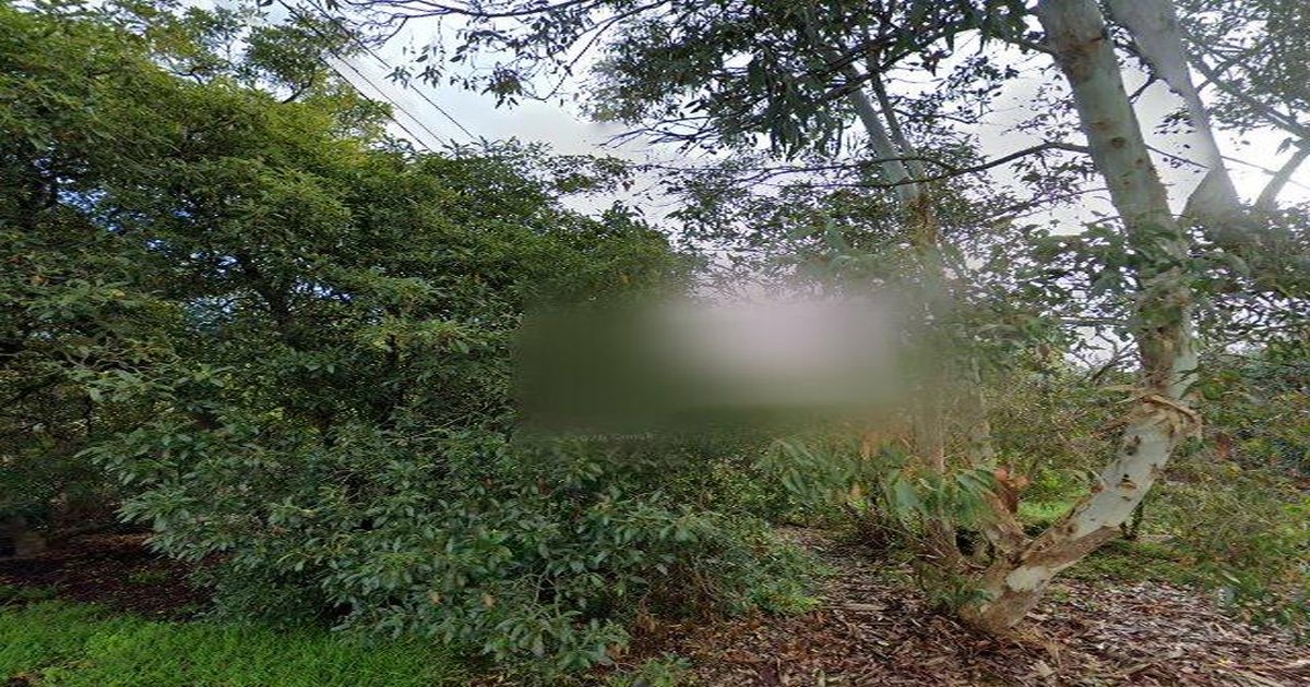 Is Vermont Good for Families? Schools, Parks & Safety (2026)