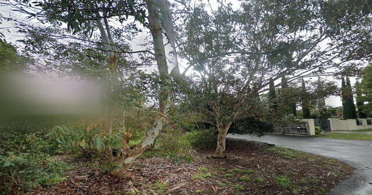 Parking in Vermont — Rules, Tips, Free Spots