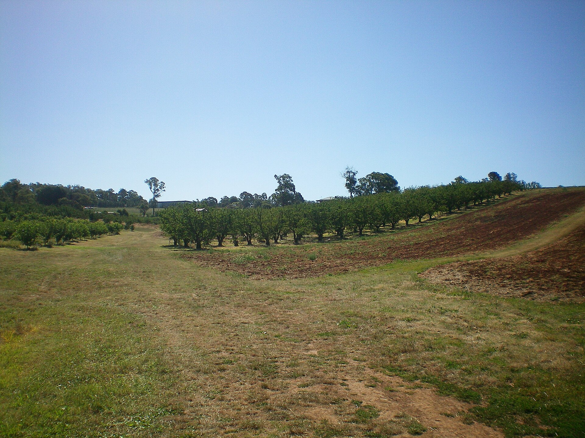 Wandin North Fixer-Uppers 2026: Renovation Opportunities and Returns