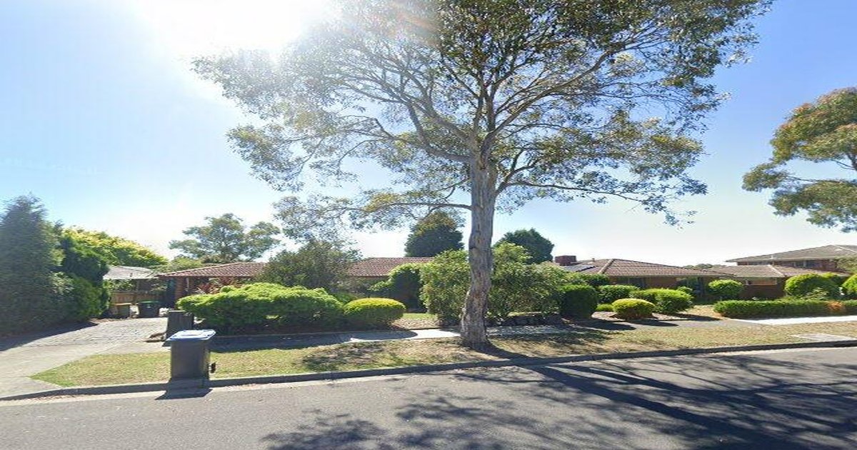 Pet-Friendly Wantirna South (2026) — Dog Parks, Cafes & Vets