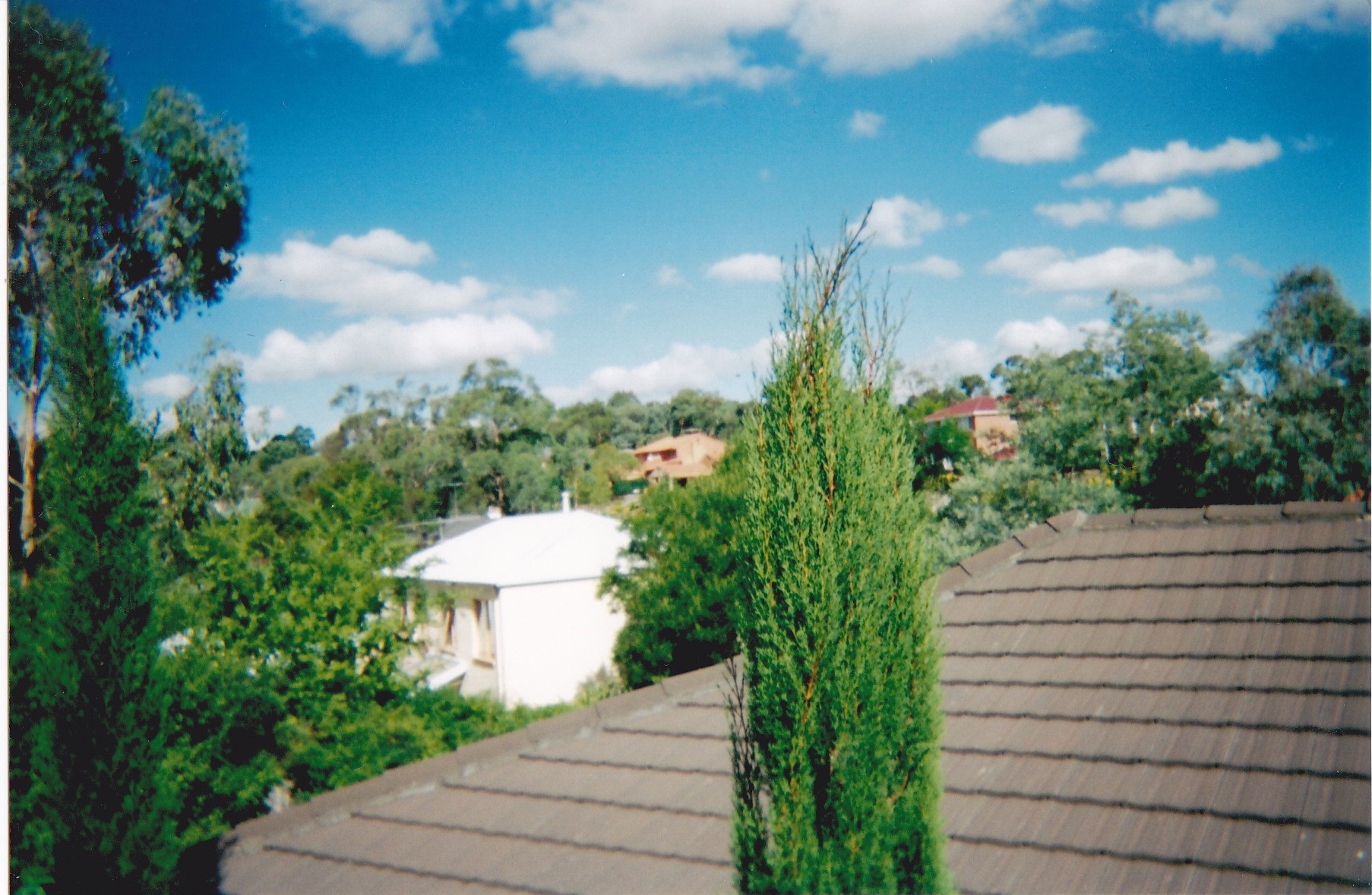 Warranwood Fixer-Uppers 2026: Renovation Opportunities and Returns