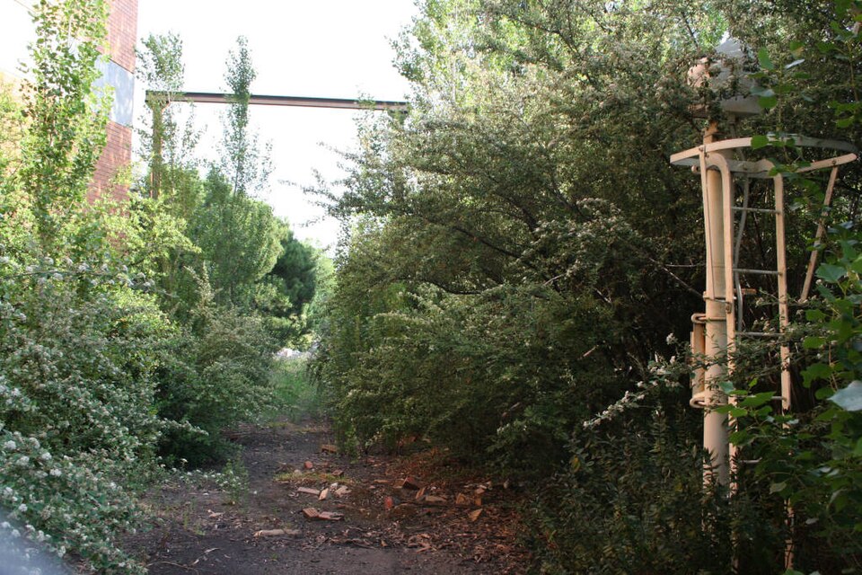 Living in Alphington Melbourne — The Honest Guide