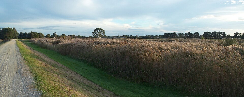 Indoor Activities in Dandenong South Melbourne — 2026 Guide