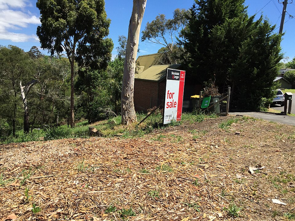 Indoor Activities in Frankston South Melbourne — 2026 Guide