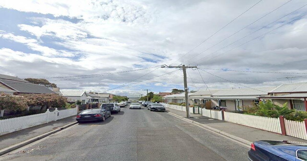 Pet-Friendly Williamstown: Dog Parks, Beaches and Walks