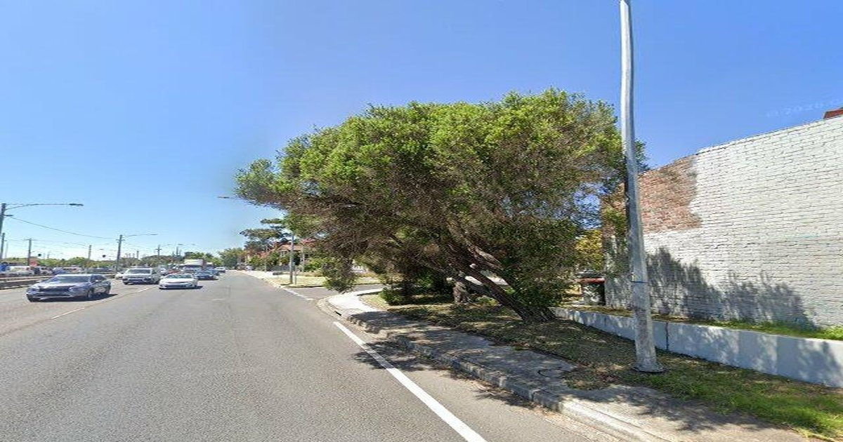 Best Pizza in Windsor — 2026 Guide