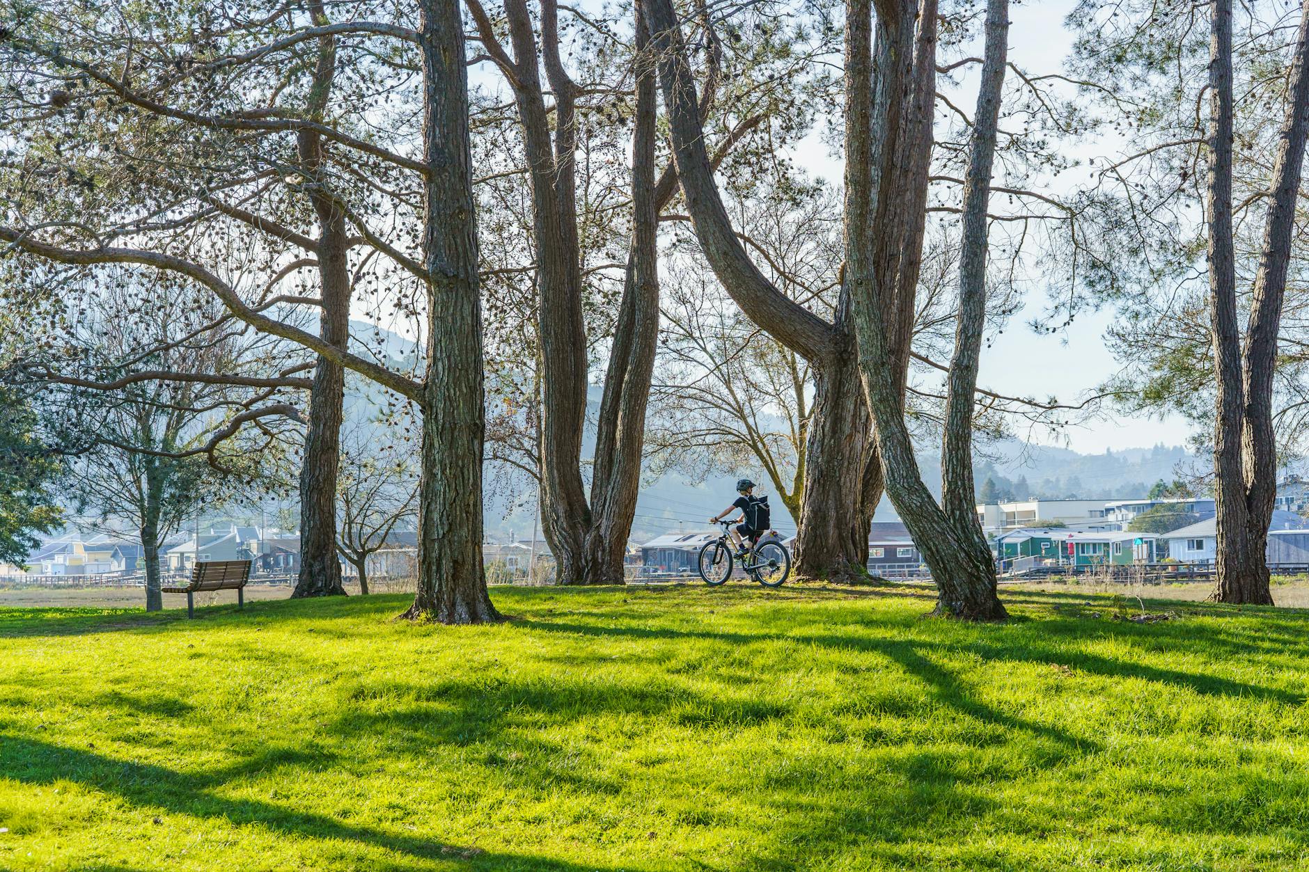 Things to Do in Yarraville Melbourne 2026